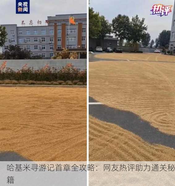 哈基米寻游记首章全攻略：网友热评助力通关秘籍