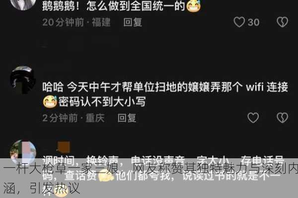 一杆大枪草一家三娘，网友称赞其独特魅力与深刻内涵，引发热议