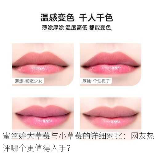 蜜丝婷大草莓与小草莓的详细对比：网友热评哪个更值得入手？