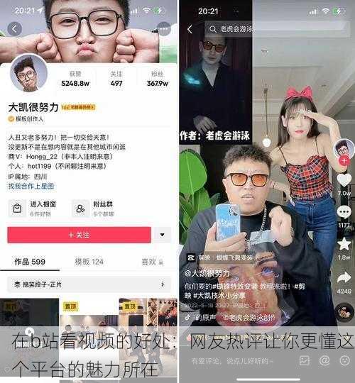 在b站看视频的好处：网友热评让你更懂这个平台的魅力所在