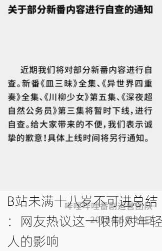 B站未满十八岁不可进总结：网友热议这一限制对年轻人的影响
