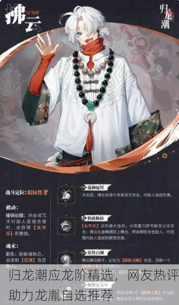 归龙潮应龙阶精选，网友热评助力龙胤自选推荐