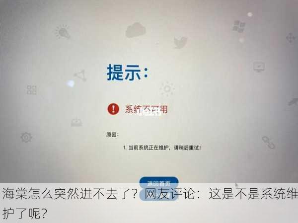 海棠怎么突然进不去了？网友评论：这是不是系统维护了呢？