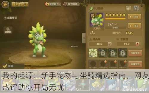 我的起源：新手宠物与坐骑精选指南，网友热评助你开局无忧！