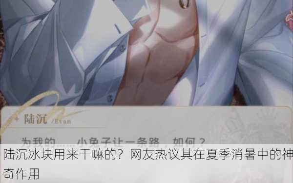 陆沉冰块用来干嘛的？网友热议其在夏季消暑中的神奇作用