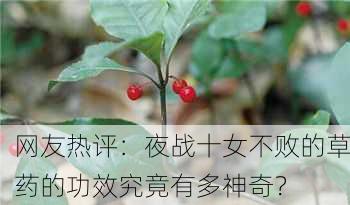 网友热评：夜战十女不败的草药的功效究竟有多神奇？