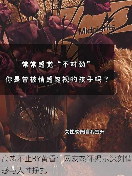 高热不止BY黄昏：网友热评揭示深刻情感与人性挣扎