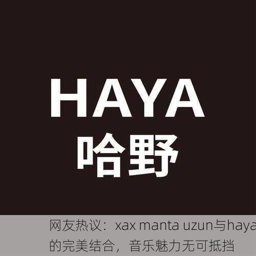 网友热议：xax manta uzun与haya的完美结合，音乐魅力无可抵挡