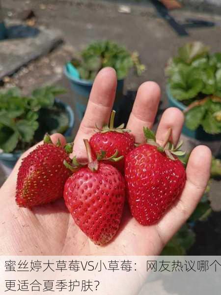 蜜丝婷大草莓VS小草莓：网友热议哪个更适合夏季护肤？
