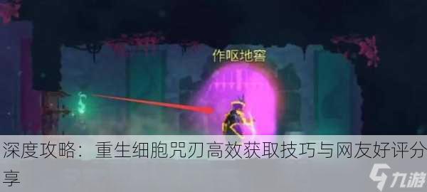 深度攻略：重生细胞咒刃高效获取技巧与网友好评分享