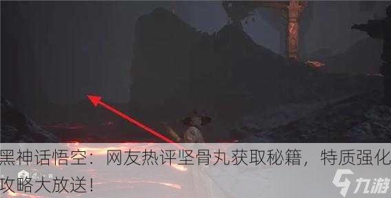 黑神话悟空：网友热评坚骨丸获取秘籍，特质强化攻略大放送！