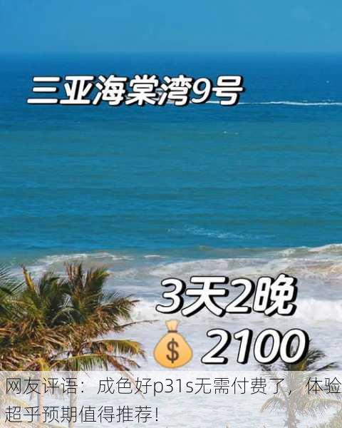 网友评语：成色好p31s无需付费了，体验超乎预期值得推荐！