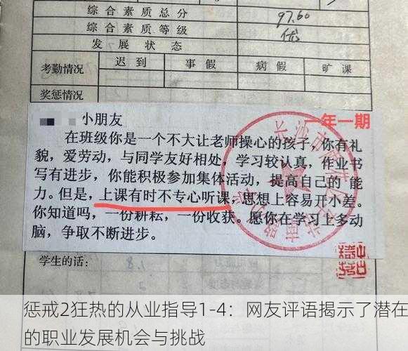 惩戒2狂热的从业指导1-4：网友评语揭示了潜在的职业发展机会与挑战