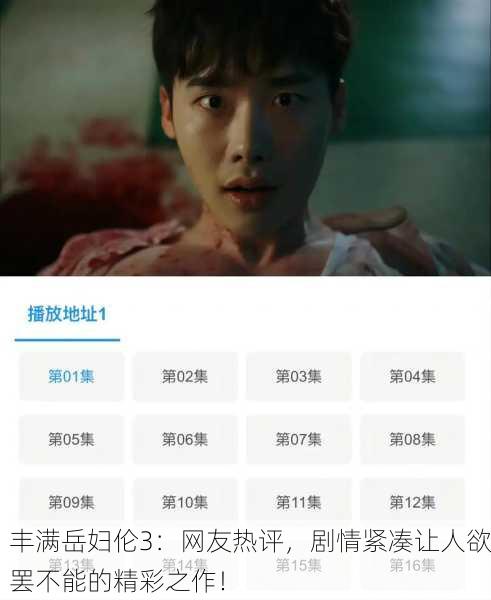 丰满岳妇伦3：网友热评，剧情紧凑让人欲罢不能的精彩之作！