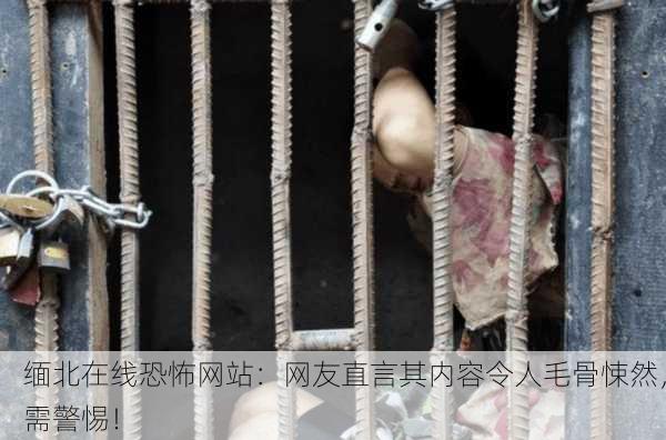 缅北在线恐怖网站：网友直言其内容令人毛骨悚然，需警惕！