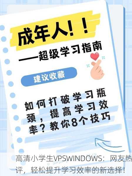 高清小学生VPSWINDOWS：网友热评，轻松提升学习效率的新选择！