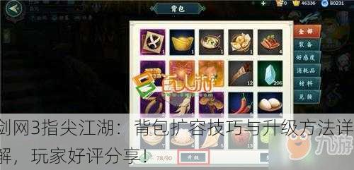 剑网3指尖江湖：背包扩容技巧与升级方法详解，玩家好评分享！