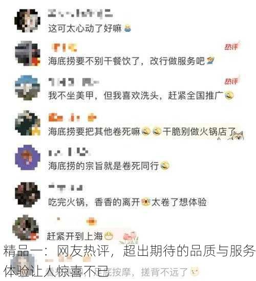 精品一：网友热评，超出期待的品质与服务体验让人惊喜不已
