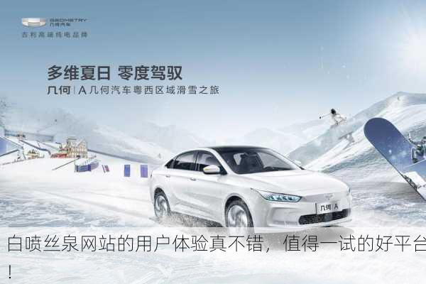 白喷丝泉网站的用户体验真不错，值得一试的好平台！
