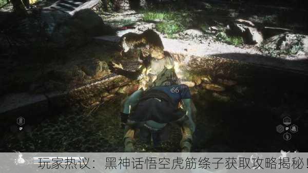 玩家热议：黑神话悟空虎筋绦子获取攻略揭秘！