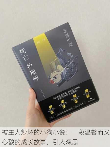 被主人炒坏的小狗小说：一段温馨而又心酸的成长故事，引人深思