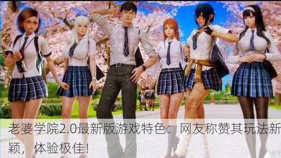 老婆学院2.0最新版游戏特色：网友称赞其玩法新颖，体验极佳！