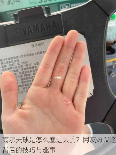 高尔夫球是怎么塞进去的？网友热议这背后的技巧与趣事