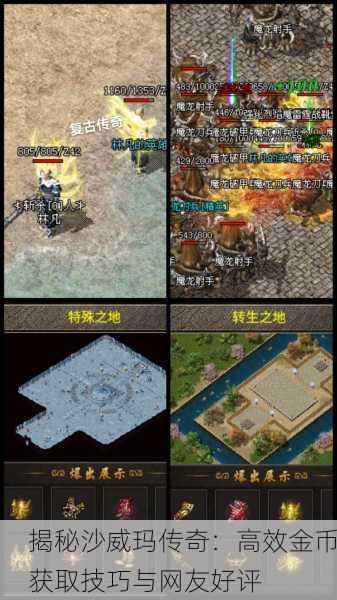 揭秘沙威玛传奇：高效金币获取技巧与网友好评