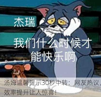 汤姆温馨提示30秒中转：网友热议，效率提升让人惊喜！