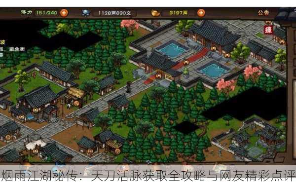烟雨江湖秘传：天刀活脉获取全攻略与网友精彩点评