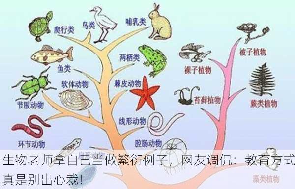 生物老师拿自己当做繁衍例子，网友调侃：教育方式真是别出心裁！