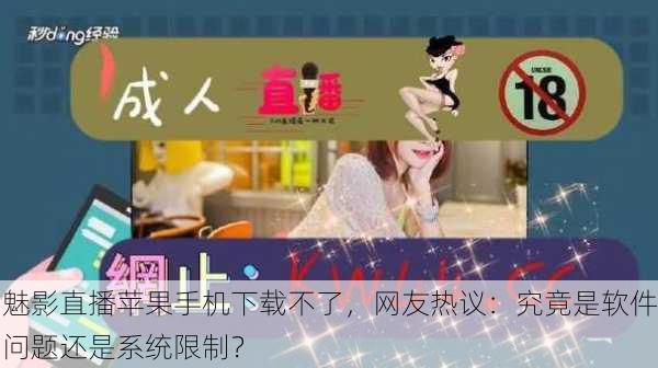 魅影直播苹果手机下载不了，网友热议：究竟是软件问题还是系统限制？