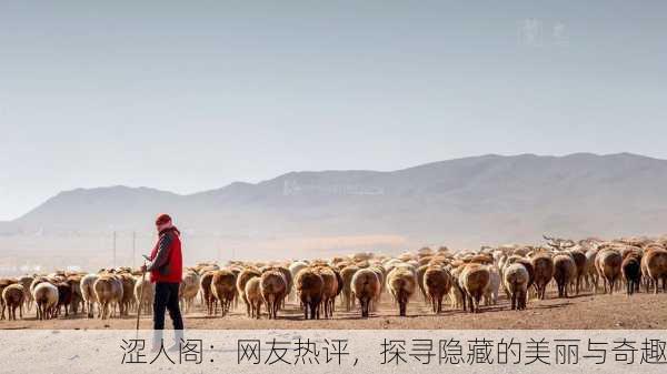 涩人阁：网友热评，探寻隐藏的美丽与奇趣