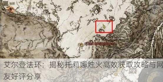 艾尔登法环：揭秘托莉娜烛火高效获取攻略与网友好评分享