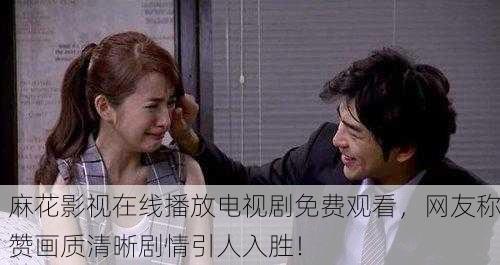 麻花影视在线播放电视剧免费观看，网友称赞画质清晰剧情引人入胜！