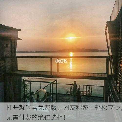 打开就能看免费版，网友称赞：轻松享受，无需付费的绝佳选择！