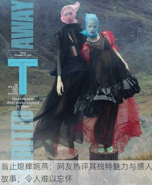 翁止熄痒婉燕：网友热评其独特魅力与感人故事，令人难以忘怀