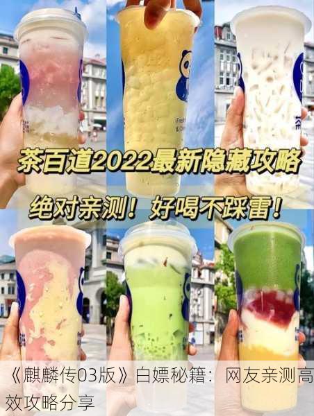 《麒麟传03版》白嫖秘籍：网友亲测高效攻略分享