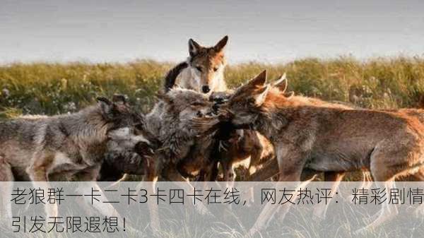 老狼群一卡二卡3卡四卡在线，网友热评：精彩剧情引发无限遐想！