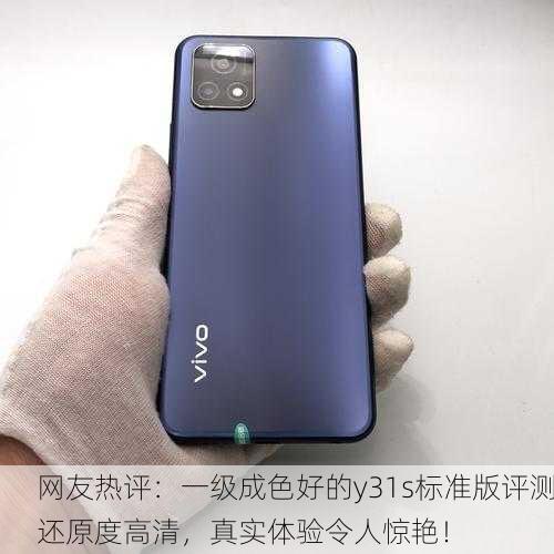 网友热评：一级成色好的y31s标准版评测还原度高清，真实体验令人惊艳！