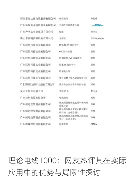 理论电线1000：网友热评其在实际应用中的优势与局限性探讨