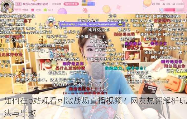 如何在b站观看刺激战场直播视频？网友热评解析玩法与乐趣