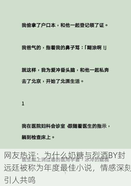 网友热评：为什么奶糖与烈酒BY封远廷被称为年度最佳小说，情感深刻引人共鸣
