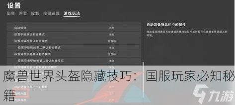 魔兽世界头盔隐藏技巧：国服玩家必知秘籍