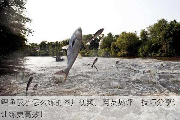 鲤鱼吸水怎么练的图片视频，网友热评：技巧分享让训练更高效！