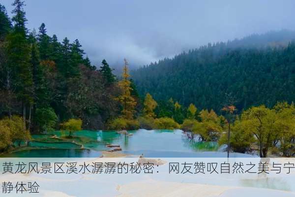 黄龙风景区溪水潺潺的秘密：网友赞叹自然之美与宁静体验