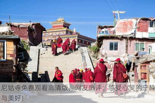 尼姑寺免费观看高清版，网友热评：感受心灵的宁静与美好！
