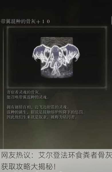 网友热议：艾尔登法环食粪者骨灰获取攻略大揭秘！