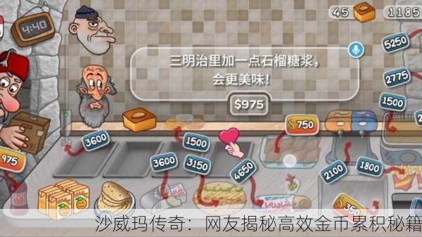 沙威玛传奇：网友揭秘高效金币累积秘籍