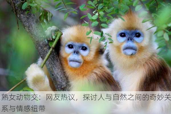 熟女动物交：网友热议，探讨人与自然之间的奇妙关系与情感纽带